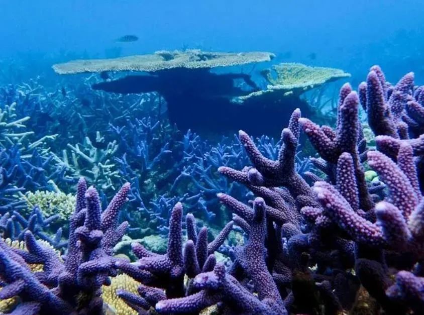 The 18 most “recognized” beautiful places in the world, so beautiful!